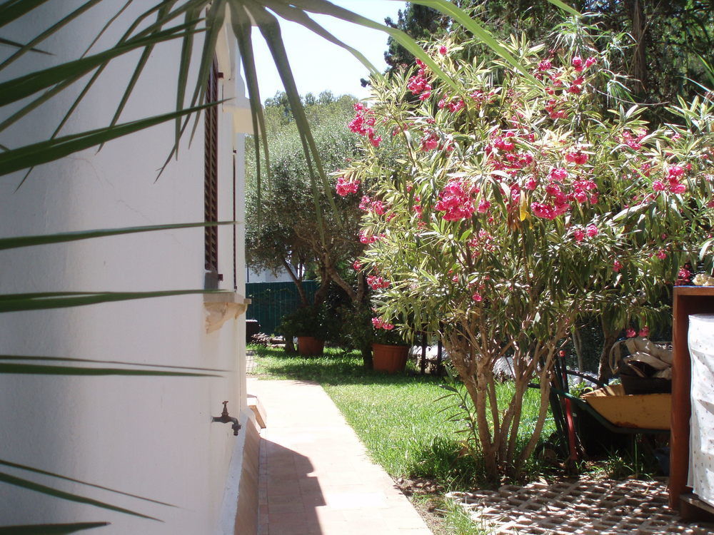 Apartamentos Osa Menor Cala d'Or  Luaran gambar